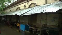 Electrocuted: জলমগ্ন আলিপুর আদালত চত্বরে বিদ্যুৎস্পৃষ্ট ২ আইনজীবী-সহ ৩, ভর্তি হাসপাতালে