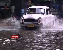 Kolkata Water Logged: ডুবে গিয়েছে বাস-ট্যাক্সি, ভাসছে রাস্তাঘাট; টানা বৃষ্টিতে জল যন্ত্রণার ছবি শহরজুড়ে