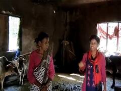 Uttarakhand: जर्जर पंचायत भवन में जानवरों के साथ रहने को मजबूर है ये परिवार, कभी भी हो सकती है अनहोनी