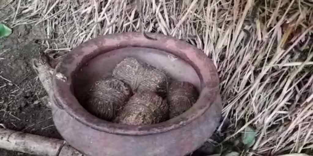 Murshidabad bombs recovered from tmc workers home kandi, party alleges conspiracy কান্দিতে তৃণমূলকর্মীর বাড়ি থেকে উদ্ধার বোমা, ফাঁসানো হয়েছে, দাবি দলের