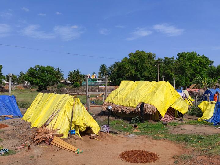 Dark ethnic people living in Tarpaulin without basic amenities ‛இது தான் எங்க வீடு... இப்படி தான் எங்க வாழ்வு’ இருளில் இருளர் குடும்பங்கள்!