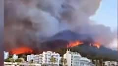 Top viral news videos of the day | Viral Express (30 July 2021)