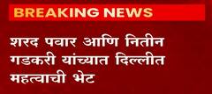 Sharad Pawar meets Nitin Gadkari : शरद पवार आणि नितीन गडकरी यांच्यात दिल्लीत महत्त्वाची भेट