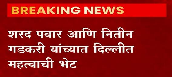 Sharad Pawar meets Nitin Gadkari : शरद पवार आणि नितीन गडकरी यांच्यात दिल्लीत महत्त्वाची भेट