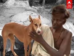 கருப்பிகளின் காதலன்.. தங்கசாமி எனும் தெய்வப்பிறவி | Dog Story | Save Dogs | Sivagangai | Madurai