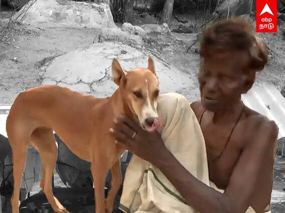 கருப்பிகளின் காதலன்.. தங்கசாமி எனும் தெய்வப்பிறவி | Dog Story | Save Dogs | Sivagangai | Madurai