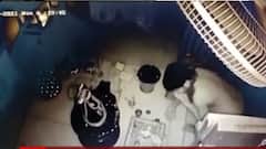 અમદાવાદ:ચાંદખેડા વિસ્તારન શિવ મંદિરમાં તસ્કરો ત્રાટક્યા, ચાંદીનું ચત્તર-દાનપેટી લઈ ફરાર