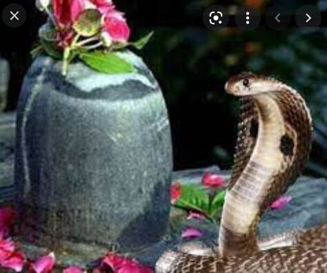 Nag Panchami 2021 why snakes are worshiped on Nag Panchami know auspicious time importance and puja vidhi Nag Panchami 2021: नागपंचमी 13 अगस्त को है, इस दिन क्यों की जाती है नागों की पूजा, जानें पूजन मुहूर्त व महत्व