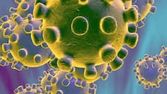 Coronavirus spreading in Japan due to Tokyo Olympics? | Full Report