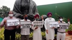 With save farmers placards, Congress MPs protest inside Parliament premises again