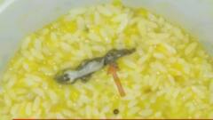 ગાંધીનગર:સિવિલમાં દર્દીઓને અપાતાં ભોજનમાં નીકળી ગરોળી, દર્દીઓને રખાયા ઓબ્ઝર્વેશનમાં