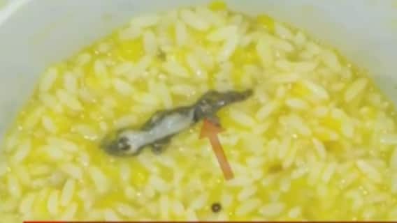 ગાંધીનગર:સિવિલમાં દર્દીઓને અપાતાં ભોજનમાં નીકળી ગરોળી, દર્દીઓને રખાયા ઓબ્ઝર્વેશનમાં