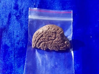 Keeladi | சுடுமண் விளையாட்டு பொம்மை, பாசிகள், சங்கு வளையல்கள்.. கீழடியில் மீண்டும் மீண்டும் ஆச்சரியம்