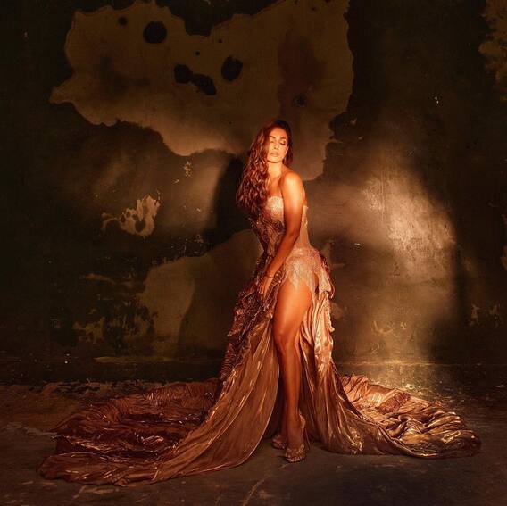 ਮਲਾਇਕਾ ਦਾ ਇਹ ਅੰਦਾਜ਼ ਕੁਝ ਹੀ ਮਿੰਟਾਂ ਵਿੱਚ ਇੰਟਰਨੈਟ 'ਤੇ ਬਹੁਤ ਵਾਇਰਲ ਹੋ ਗਿਆ ਹੈ।