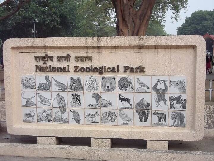 Delhi Zoo Reopens: delhi zoo to reopen from tomorrow, online booking of tickets will start from today Delhi Zoo Reopens: विजिटर्स के लिए कल से खुल जाएगा दिल्ली का चिड़ियाघर, आज से कराएं ऑनलाइन बुकिंग