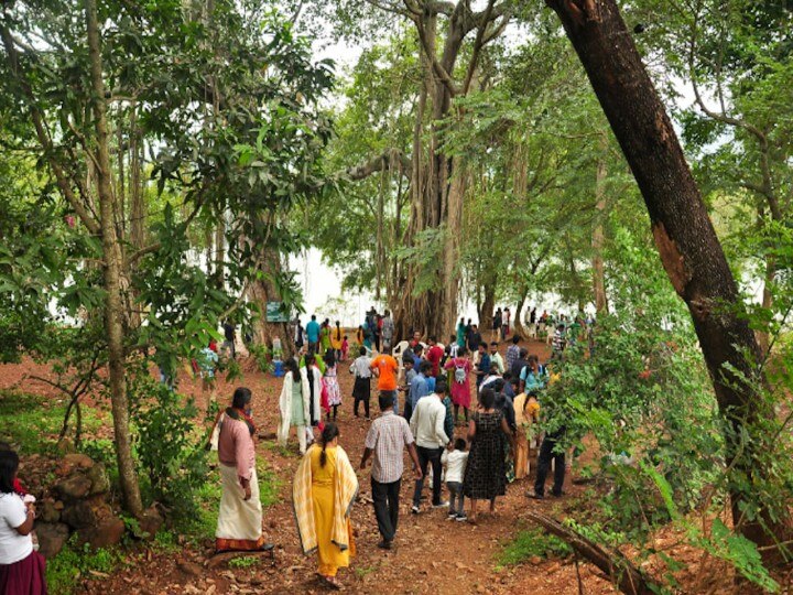 மச்சி ஒரு டிரிப் போலமா?': ‛மேகம் கருக்கயிலே... புள்ள தேகம் குளிருதடி...’  பரளிக்காடு வாங்க..!