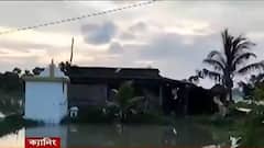 Canning: ক্যানিংয়ে মধ্যযুগীয় নির্যাতন, বিবাহ বহিভূর্ত সম্পর্কের অভিযোগে কেটে দেওয়া হল মহিলার মাথার চুল