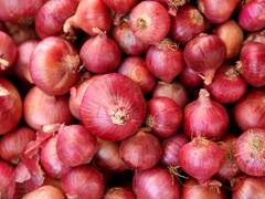Onion Price: इस त्योहारी सीजन में ऊंची रह सकती है प्याज की कीमत, 100 फीसदी से अधिक की बढ़ोतरी की संभावना