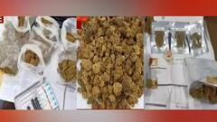 Drug Racket: মাদকচক্রের পর্দাফাঁস! কলকাতা থেকে NCB-র হাতে গ্রেফতার ৩