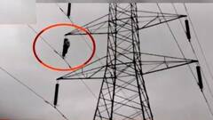 Jalna : जावईबापू, हे वागणं बरं नव्हं! दारुच्या नशेत जावयाचं सासुरवाडीत शोले आंदोलन