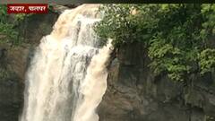 पालघरच्या दाभोसा धबधब्याचं थक्कं करणारं रुप, जव्हार तालुक्यातील पर्यटनस्थळं सौंदर्याने बहरली