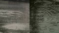 Howrah: ডিভিসির ছাড়া জলে প্লাবিত হাওড়ার উদয়নারায়ণপুর, আমতা, জলমগ্ন হাসপাতাল, কলেজ