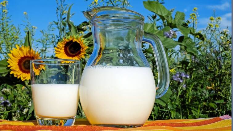 As per ayurveda, know the best time to drink milk Ayurveda Tips: দিনের কোন সময়ে দুধ খাওয়া স্বাস্থ্যের পক্ষে সবচেয়ে উপকারী?