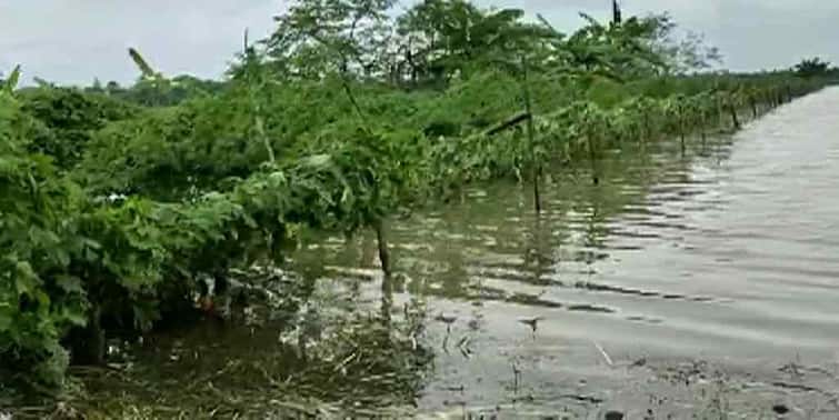 Sundarbans new danger heavy rains  low pressure scorching heat of Yaas Sundarbans: ইয়াসের দগদগে ক্ষতর মধ্যেই সুন্দরবনে নতুন বিপদ নিম্নচাপের ভারী বৃষ্টি