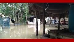 Sundarbans: ইয়াসের ক্ষত সেরে ওঠার আগেই নিম্নচাপের বৃষ্টিতে ফের জলমগ্ন সুন্দরবনের বিস্তীর্ণ অঞ্চল