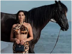 Too Hot To Handle: નોરા ફતેહીએ શેર કરી ફરી એકવાર એકદમ સિઝલિંગ તસવીરો, જુઓ અહીં.....