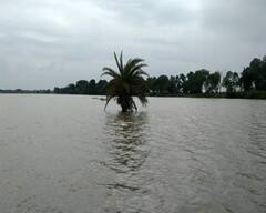 ঘাটাল, আরামবাগ থেকে পানিহাটি, দক্ষিণবঙ্গের একাধিক জায়গায় জল যন্ত্রণা