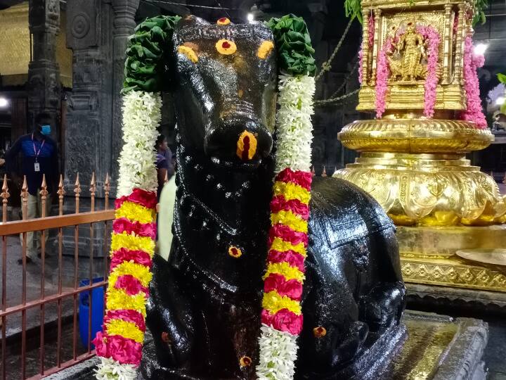 சிறப்பு அலங்காரத்தில் நந்திபகவான்