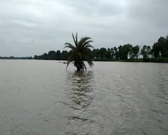 weather update: আজ ও কাল দক্ষিণবঙ্গ জুড়েই বিক্ষিপ্ত বৃষ্টির সম্ভাবনা