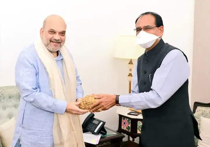 BJP madhya pradesh cm shivraj singh met amit shah delhi for the second time in two days  मध्य प्रदेशमध्येही मुख्यमंत्री बदलाचे वारे? शिवराज सिंहांनी घेतली दुसऱ्यांदा अमित शाहांची भेट