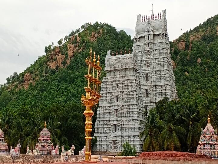 கொடி ஏற்றப்பட்ட கொடி கம்பம் மற்றும் கோபுரத்துடன் காட்சி