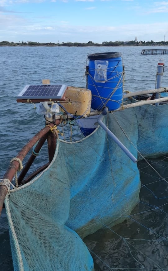 Natural disaster disaster depletion of fish stocks sea floating cages provides safe income மிதவை கூண்டுகளில் மீன்களை வளர்க்கும் முறை : உருவெடுக்கு மீனவர் தொழில்..!