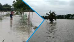 Khanakul Flood Situation: রূপনারায়ণ ও দ্বারকেশ্বরের জলে প্লাবিত খানাকুলের একাধিক গ্রাম