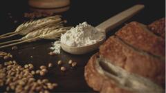 Food Allergies: কোন কোন খাবার থেকে অ্যালার্জি হওয়ার সম্ভাবনা থাকে ?