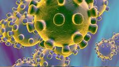 India COVID-19 Update: দেশে কমল করোনায় দৈনিক সংক্রমণ, মৃত্যু ৪২২