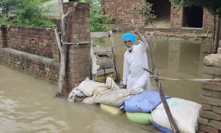 ਸੰਗਰੂਰ: ਕਈ ਦਿਨਾਂ ਤੋਂ ਰੁਕ-ਰੁਕ ਕੇ ਹੋ ਰਹੀ ਬਾਰਸ਼ ਨਾਲ ਵਿਧਾਨ ਸਭਾ ਹਲਕਾ ਲਹਿਰਾਗਾਗਾ ਦੇ 48 ਪਿੰਡਾਂ ਦੀ ਹਜ਼ਾਰਾਂ ਏਕੜ ਫਸਲ ਤਬਾਹ ਹੋ ਚੁੱਕੀ ਹੈ। ਜਿੱਧਰ ਵੀ ਨਿਗ੍ਹਾ ਮਾਰੋ ਹਰ ਪਾਸੇ ਤਬਾਹੀ ਦਾ ਮੰਜ਼ਰ ਨਜ਼ਰ ਆ ਰਿਹਾ ਹੈ।