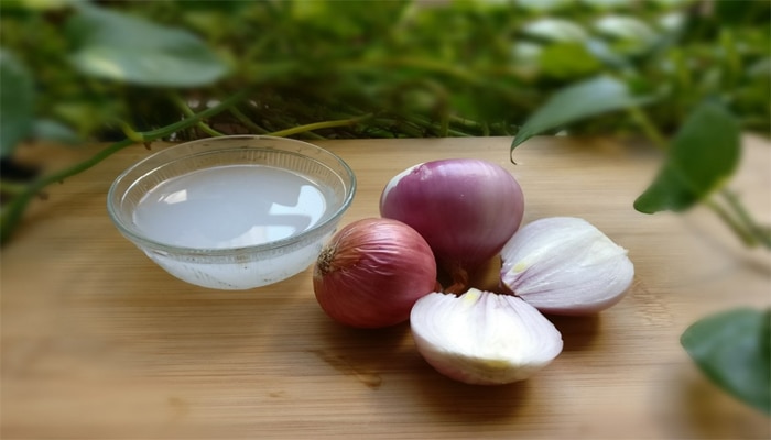 Do you know this is the right way to use onion juice for Super Thick & Fast  hair growth?