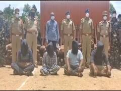 Red Sanders: చిత్తూరు పోలీసులు చాకచక్యం... చెన్నైలో భారీ ఎర్రచందనం డంప్ స్వాధీనం.. 11 టన్నుల దుంగలు పట్టివేత