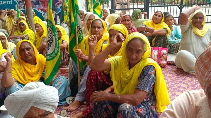 ਜਥੇਬੰਦੀ ਦੀ ਮੰਗ ਹੈ ਕਿ ਸ਼ਹੀਦ ਹੋਏ ਕਿਸਾਨ ਨੂੰ 10 ਲੱਖ ਰੁਪਏ ਮੁਆਵਜ਼ਾ, ਕਰਜ਼ਾ ਮੁਆਫੀ ਤੇ ਪਰਿਵਾਰ ਦੇ ਇੱਕ ਮੈਂਬਰ ਨੂੰ ਨੌਕਰੀ ਦਿੱਤੀ ਜਾਵੇ।