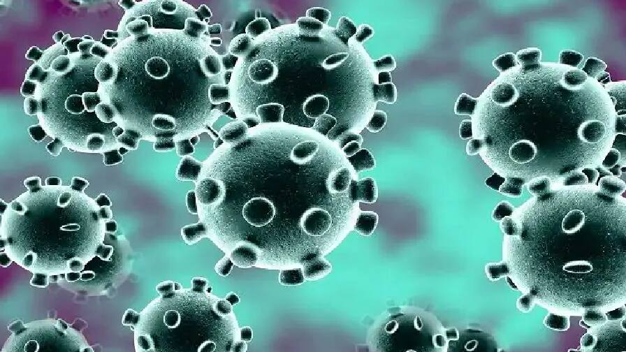 Punjab only 56 corona cases big relief ਪੰਜਾਬੀਆਂ ਲਈ ਰਾਹਤ ਦੀ ਖਬਰ! ਕੋਰੋਨਾ ਕੇਸ 56 ਤੱਕ ਸਿਮਟੇ