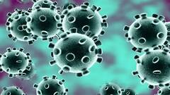 ਪੰਜਾਬੀਆਂ ਲਈ ਰਾਹਤ ਦੀ ਖਬਰ! ਕੋਰੋਨਾ ਕੇਸ 56 ਤੱਕ ਸਿਮਟੇ