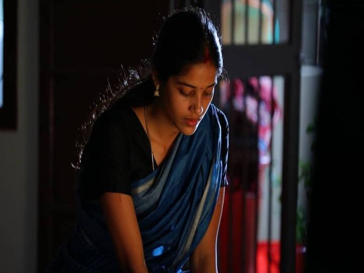 டிஜே பானு, சத்தீஸ்கரின் ராய்பூரைச் சேர்ந்தவர், 2014யில் சினிமா துறையில் நுழைந்தார்