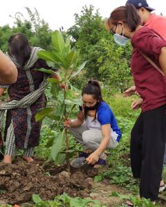 Tokyo Olympics: ఒలింపిక్స్ రజత పతక విజేత మీరాబాయి చాను ‘గ్రీన్ ఇండియా ఛాలెంజ్’