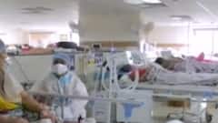 ફટાફટ: રાજ્યમાં 24 કલાકમાં કોરોનાના 23 કેસ,21 દર્દીઓ થયા સાજા, જુઓ મહત્વના સમાચાર