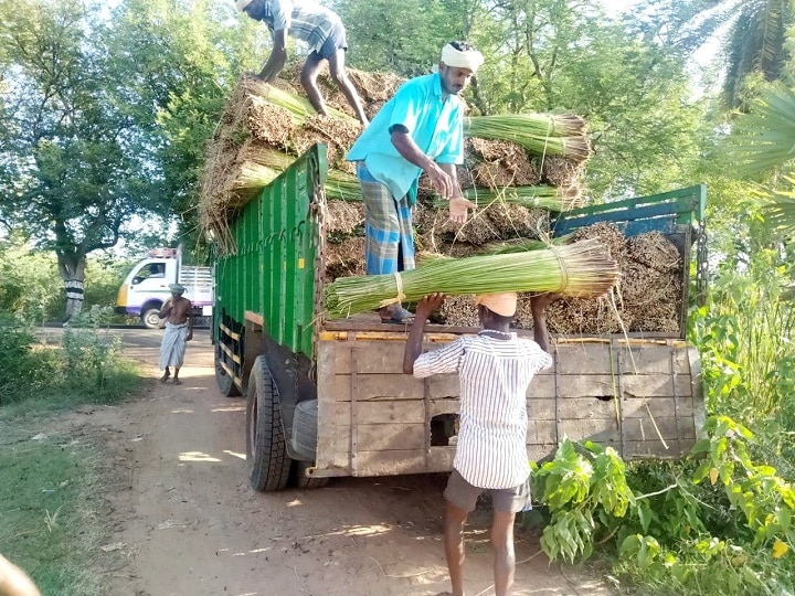 Thiruvarur: நெல் விளையும் பூமியில் புல் விளையுது..! - கொங்கு மாவட்டத்தினருக்கு நிலத்தை குத்தகைக்குவிடும் விவசாயிகள்