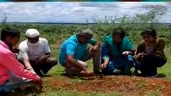 गंगाधरी गावातील शिक्षकाचा उपक्रम, ओसाड माळरानावर फुलवलं नंदनवन, 14 वर्षात 15 हजार झाडांची लागवड